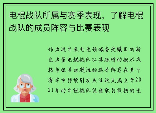 电棍战队所属与赛季表现，了解电棍战队的成员阵容与比赛表现