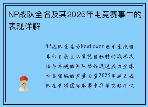 NP战队全名及其2025年电竞赛事中的表现详解