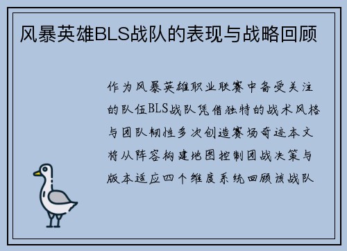风暴英雄BLS战队的表现与战略回顾